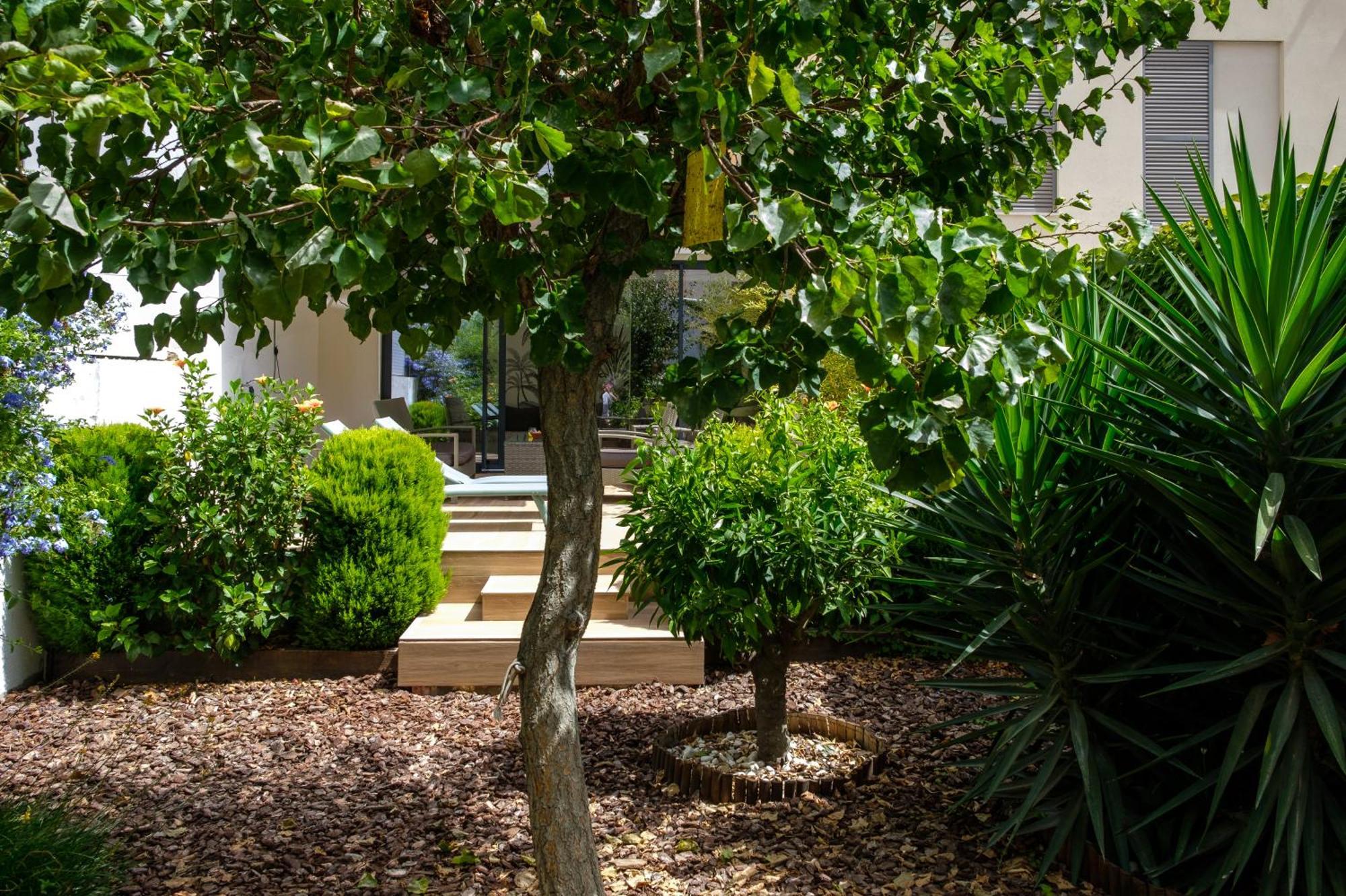 Pretty House Sa Font In Santa Catalina Palma City Экстерьер фото