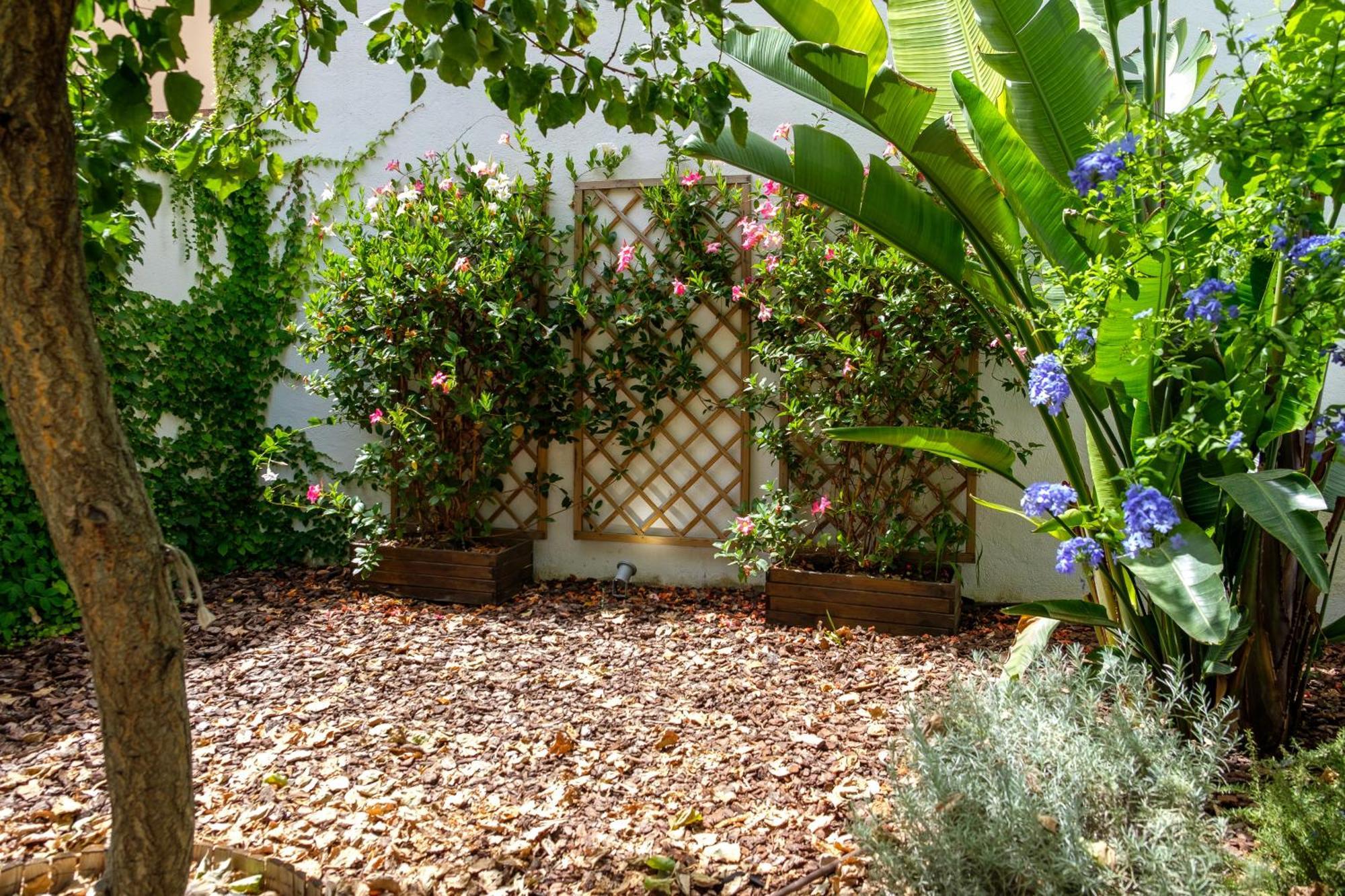 Pretty House Sa Font In Santa Catalina Palma City Экстерьер фото